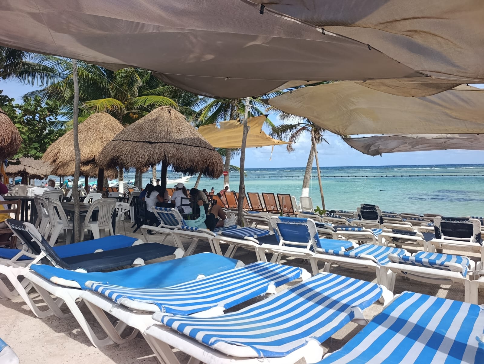 Barba Negra Costa Maya beachfront
