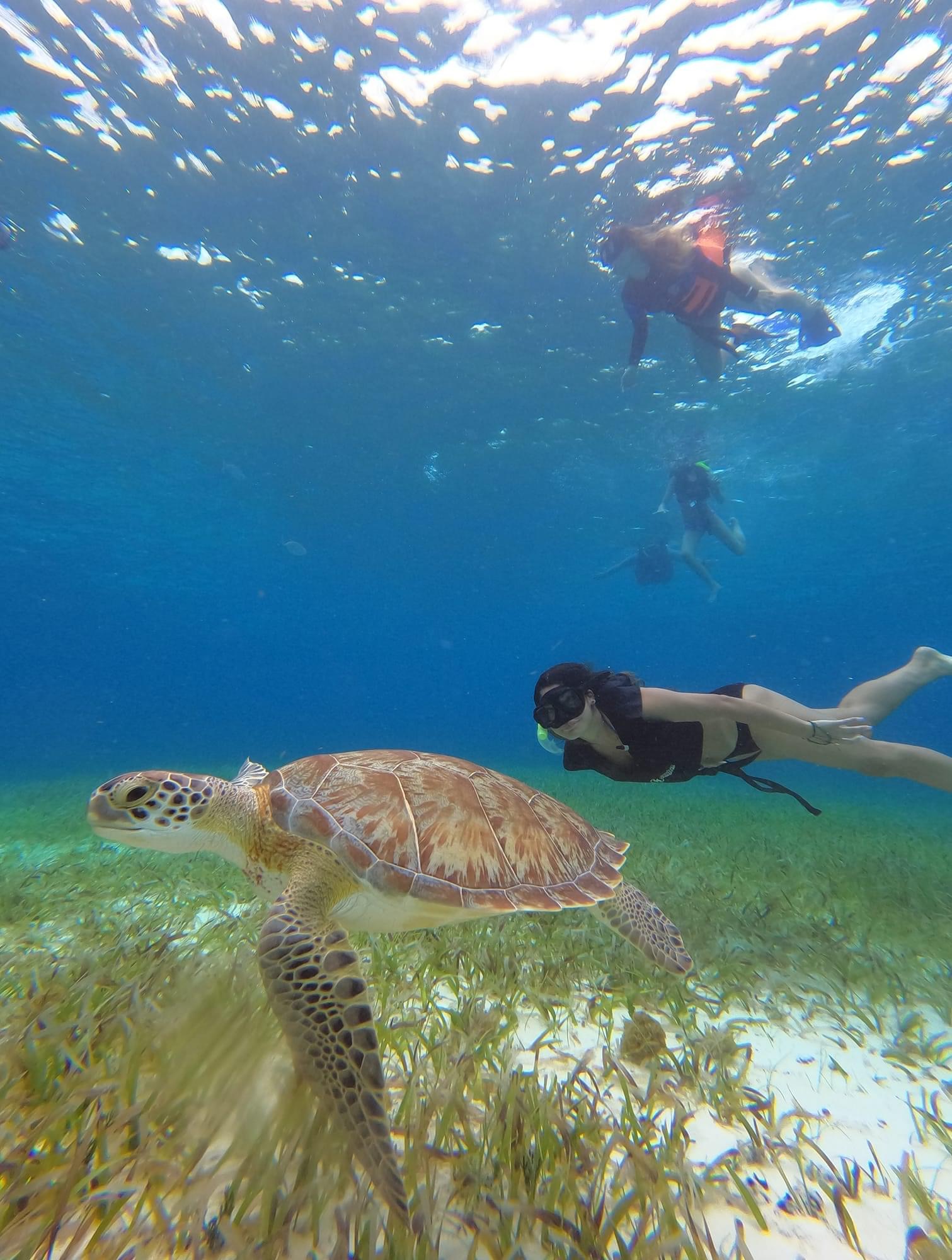 Costa Maya Snorkeling Excursion